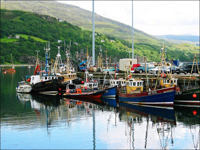 Fishing boats in the harbour 