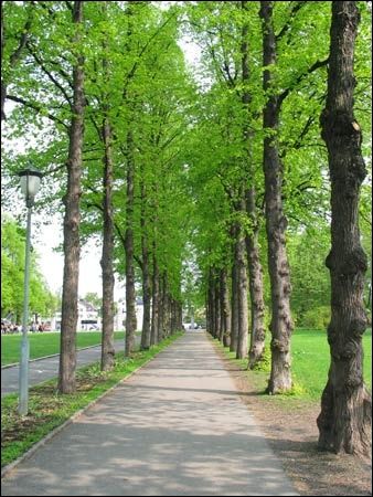 Frognerparken