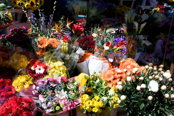 Blomsterutsalg, Grafton street