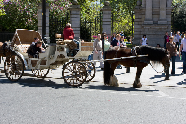 Sightseeing med hest og vogn, St. Stephen's Green