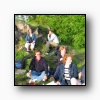 [Trykk for  se bildet]