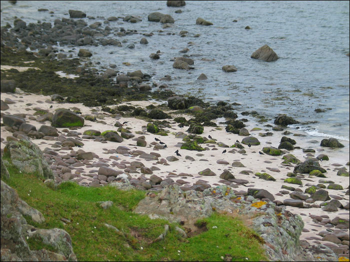 Beach, Reiff - Rubha Mr