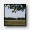[Trykk for strre bilde]