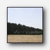 [Trykk for strre bilde]