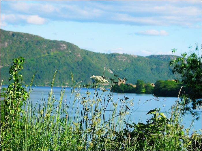 The Highlands/Loch Ness at 60 miles/hour (VI)